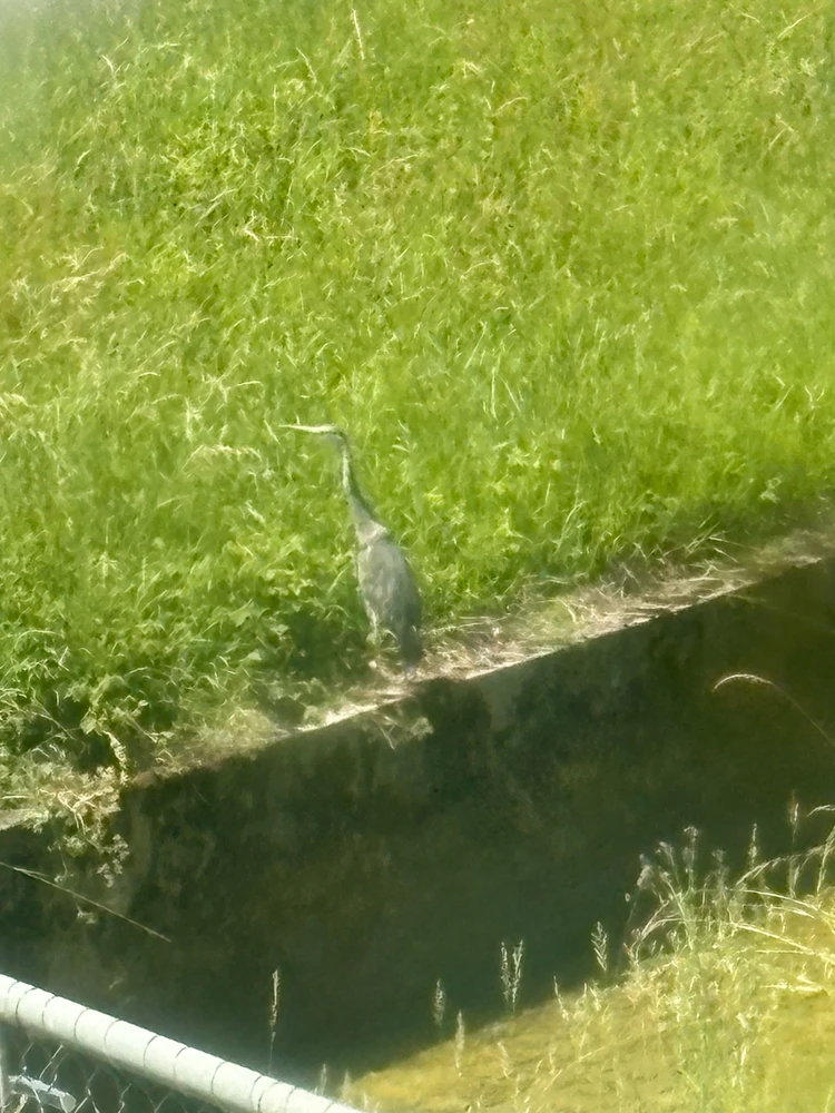 GIF uploaded by ℳ𝒾𝒹𝓃𝒾𝑔𝒽𝓉