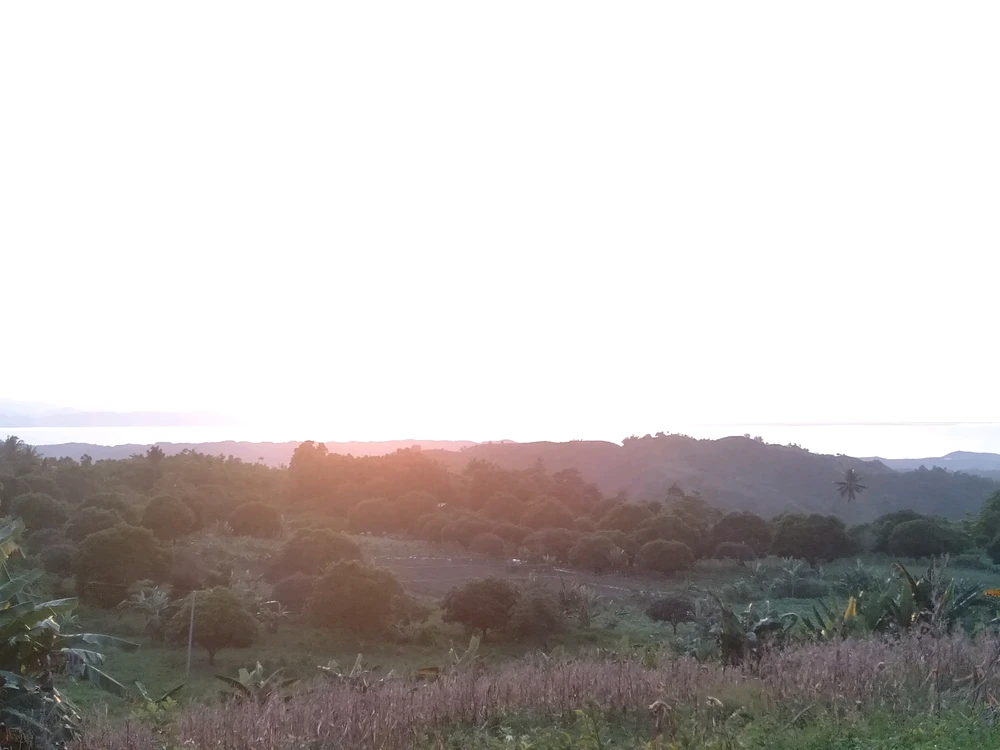 GIF uploaded by Clara