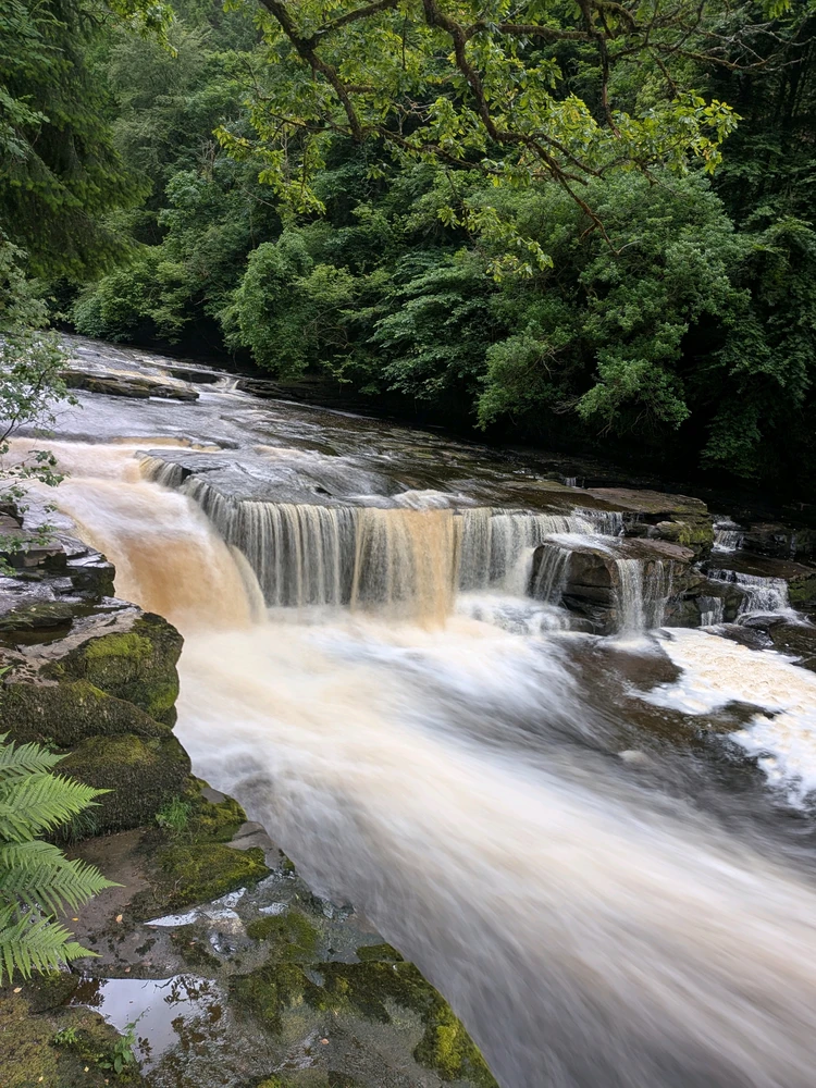 Image uploaded by Sorcha