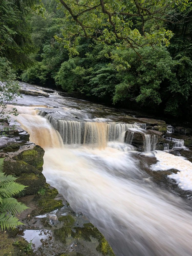 Image uploaded by Sorcha