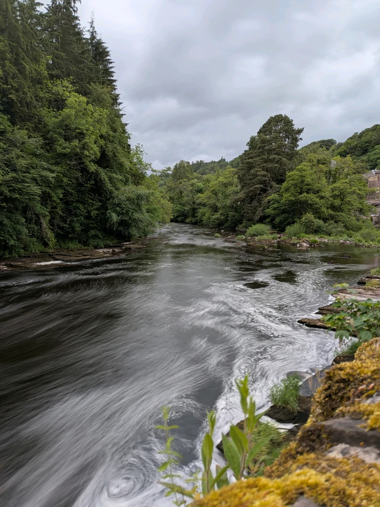 Image uploaded by Sorcha
