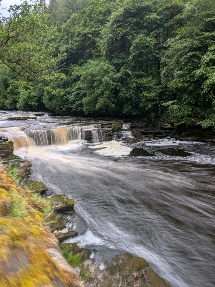 Image uploaded by Sorcha