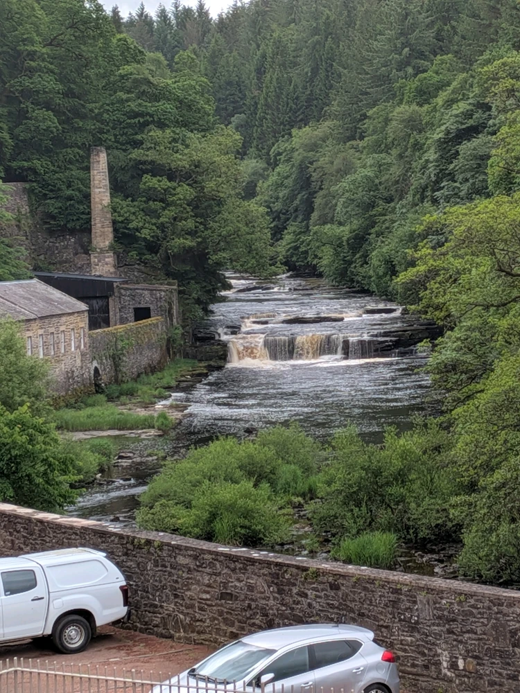 Image uploaded by Sorcha