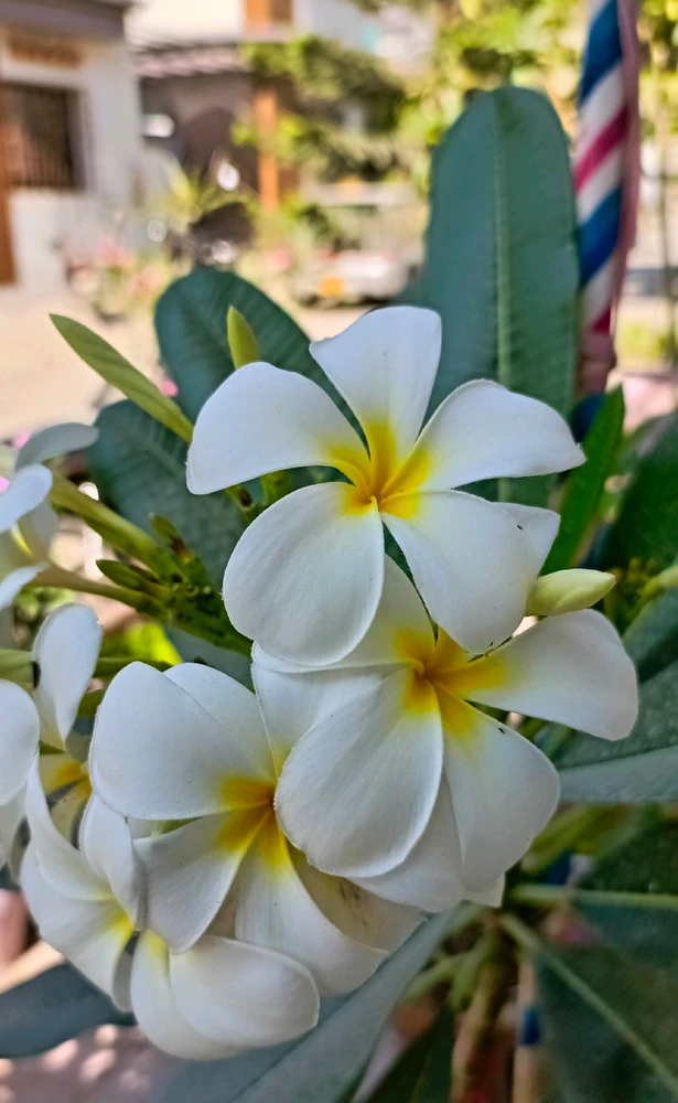 GIF uploaded by 𝑨𝒏𝒆𝒆𝒍..