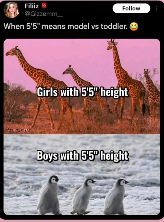 GIF uploaded by Mohd Salim