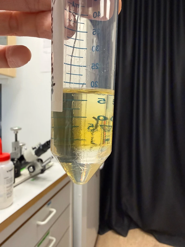 GIF uploaded by Æ