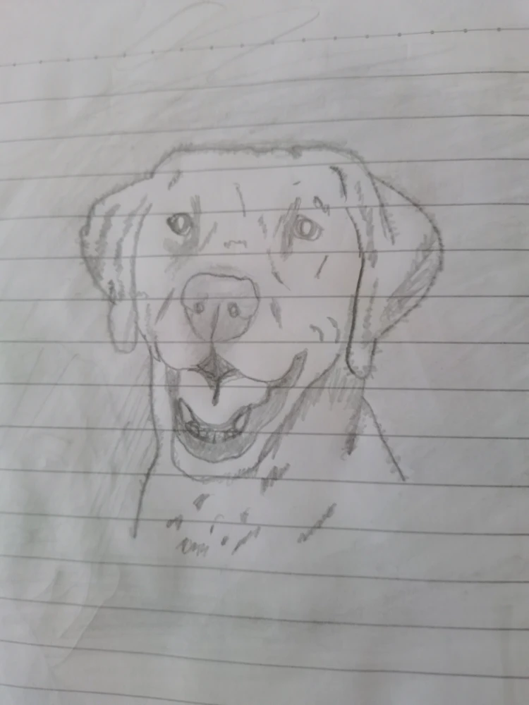 GIF enviado por Natan