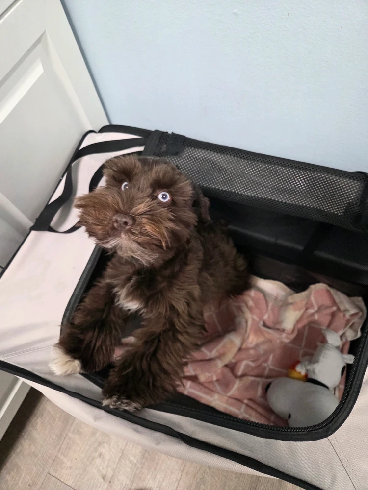 GIF uploaded by Liz
