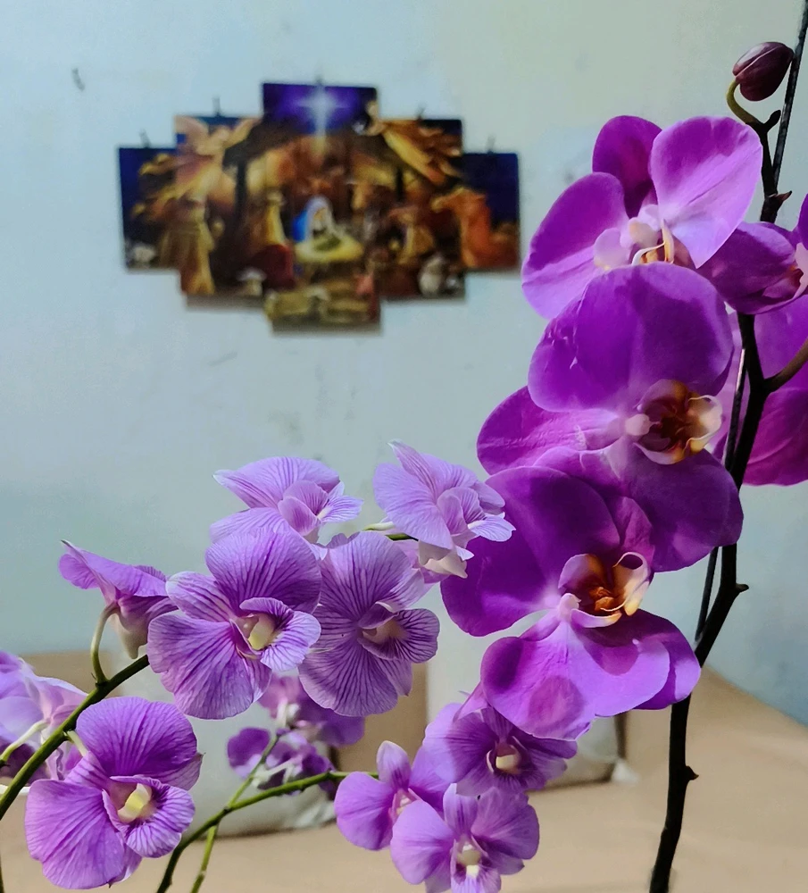 GIF uploaded by Hizkia