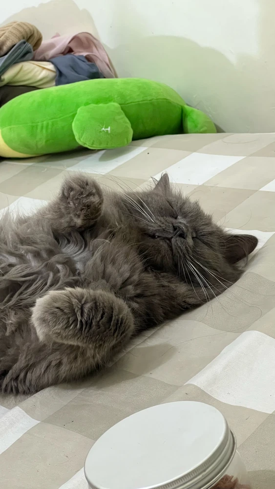 GIF uploaded by Nana