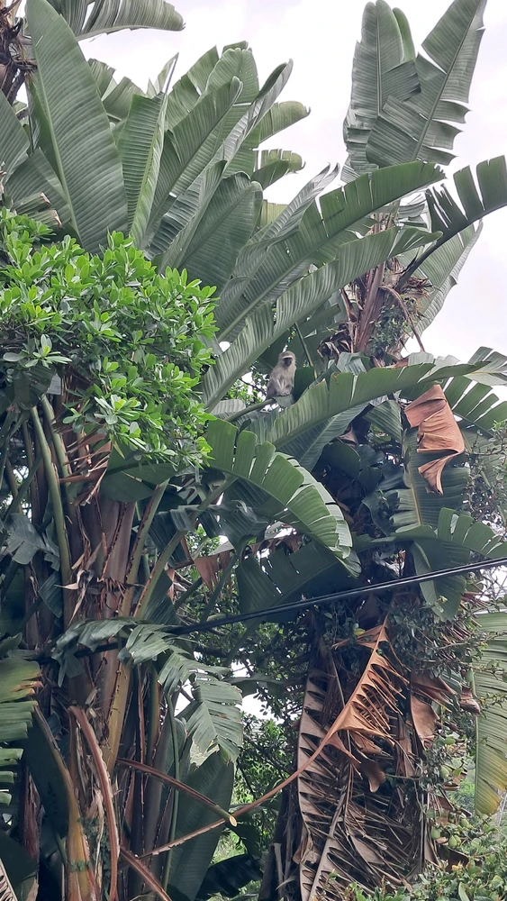 تصویر آپلود شده توسط Mαggie♡🇿🇦