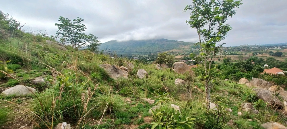 Image uploaded by S