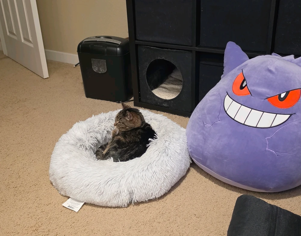 GIF uploaded by Charlie