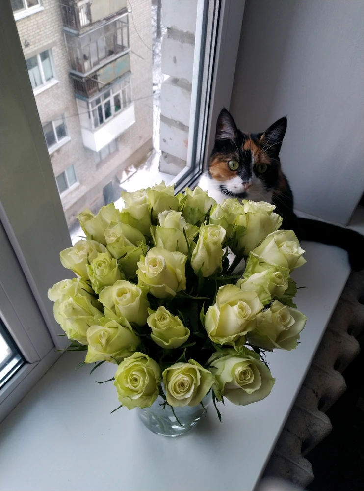 Гіфку завантажив Anna