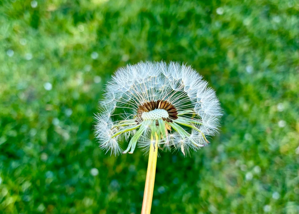 GIF uploaded by Kate