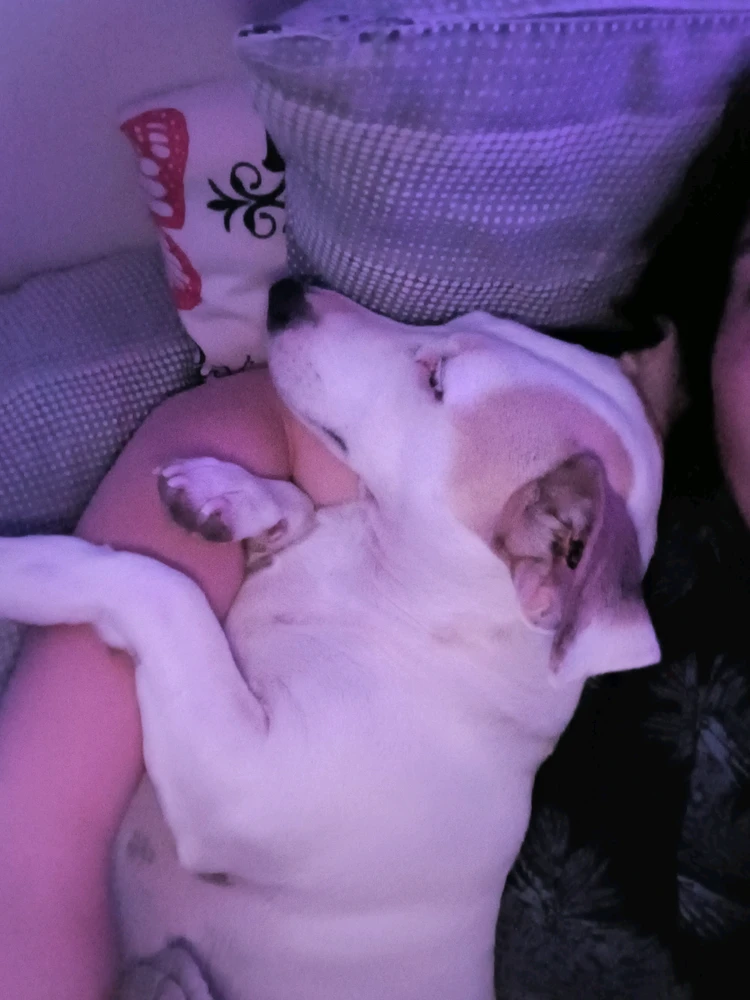 GIF uploaded by Lia
