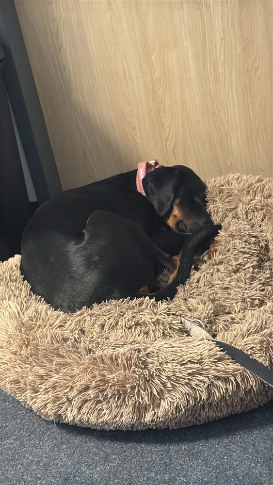 GIF hochgeladen von Natascha