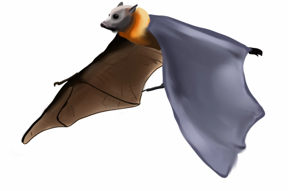 GIF uploaded by Katelynn