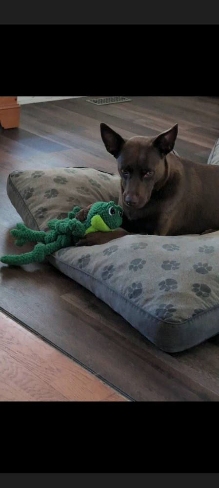 GIF uploaded by Jessie
