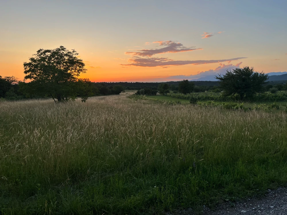 GIF uploaded by Timotej