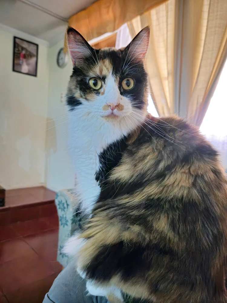 GIF uploaded by Lucas