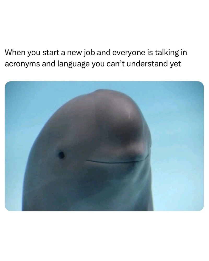GIF uploaded by Matea