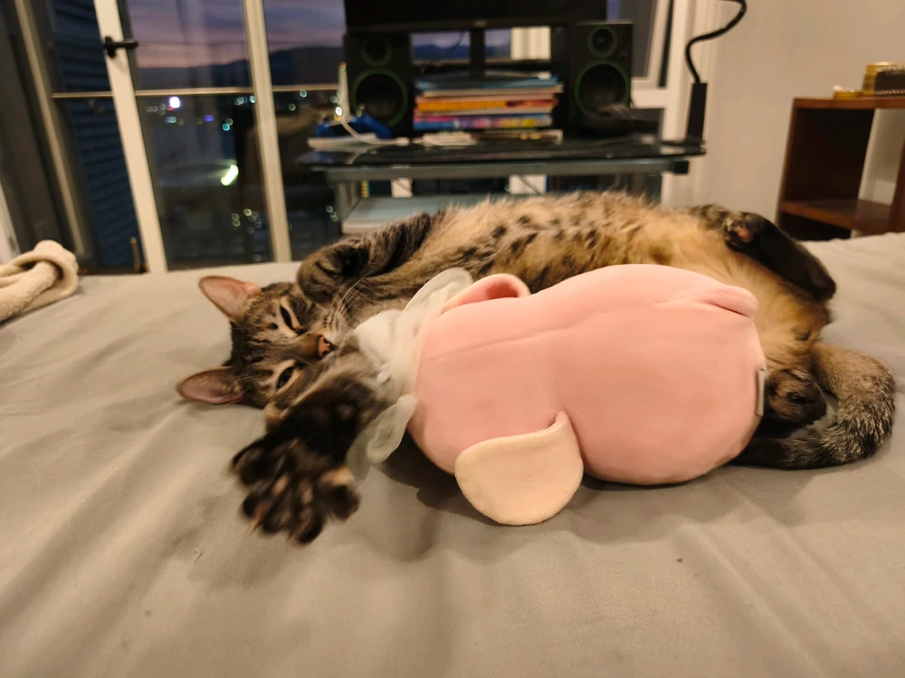GIF uploaded by fia