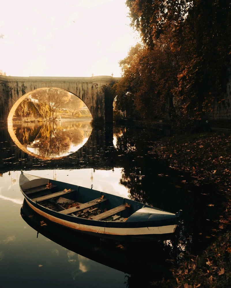 GIF uploaded by Palha