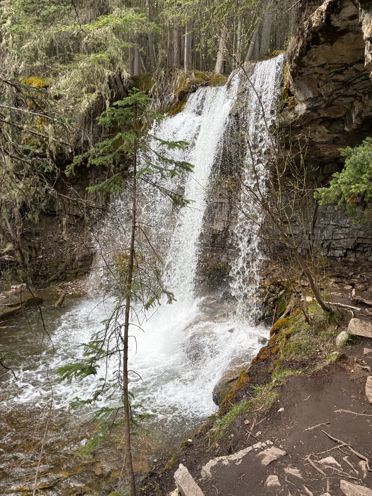 GIF uploaded by Hannan