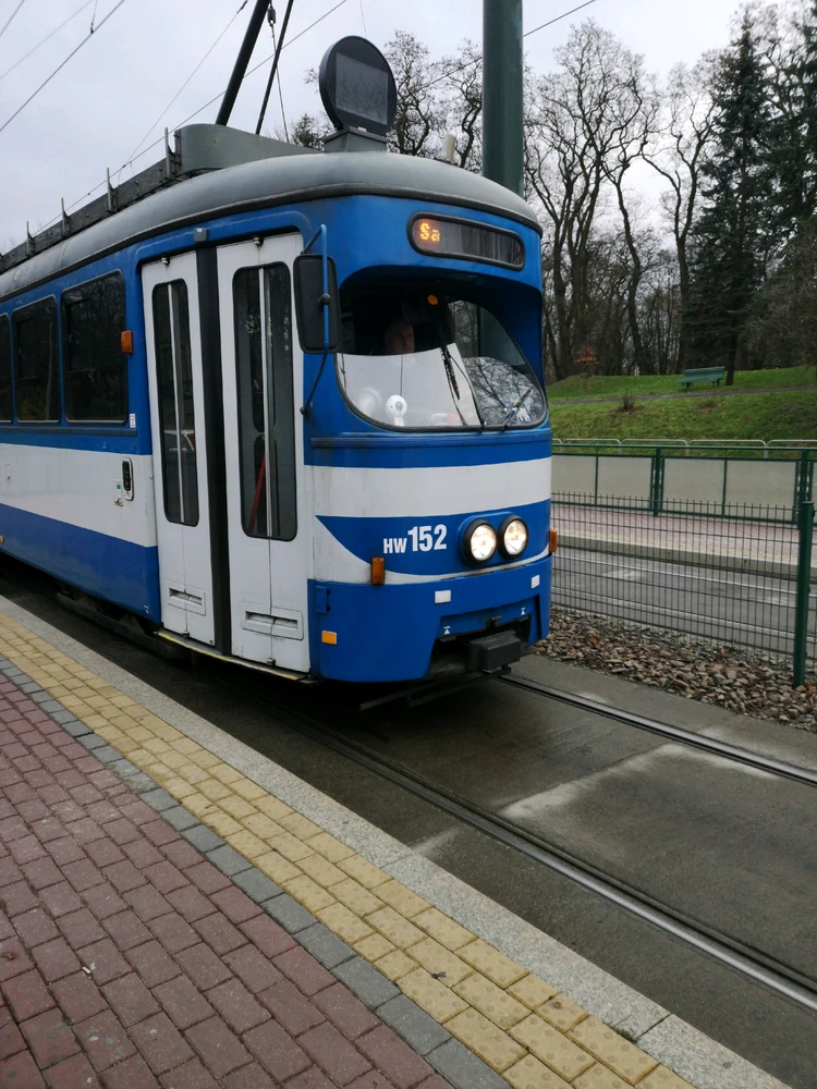 Image uploaded by Bonnie
