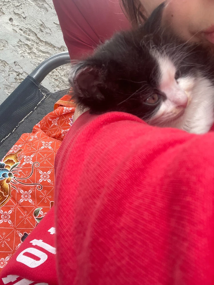 GIF uploaded by Gigi!