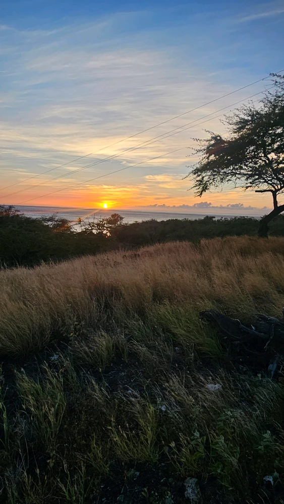 Image uploaded by Inanna