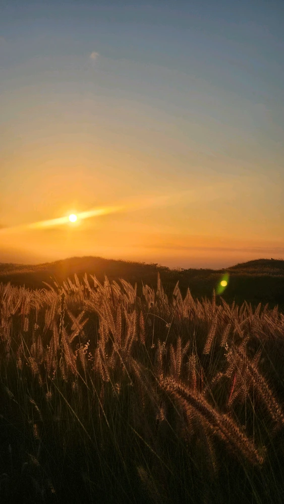 Image uploaded by Inanna