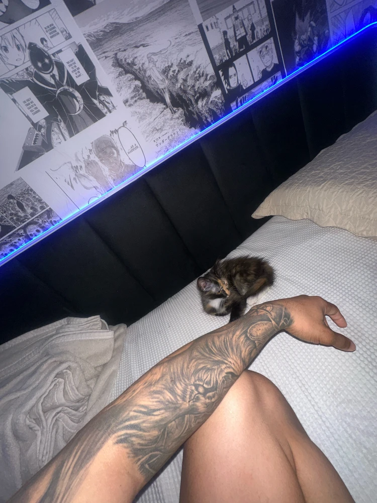 GIF enviado por Felipe