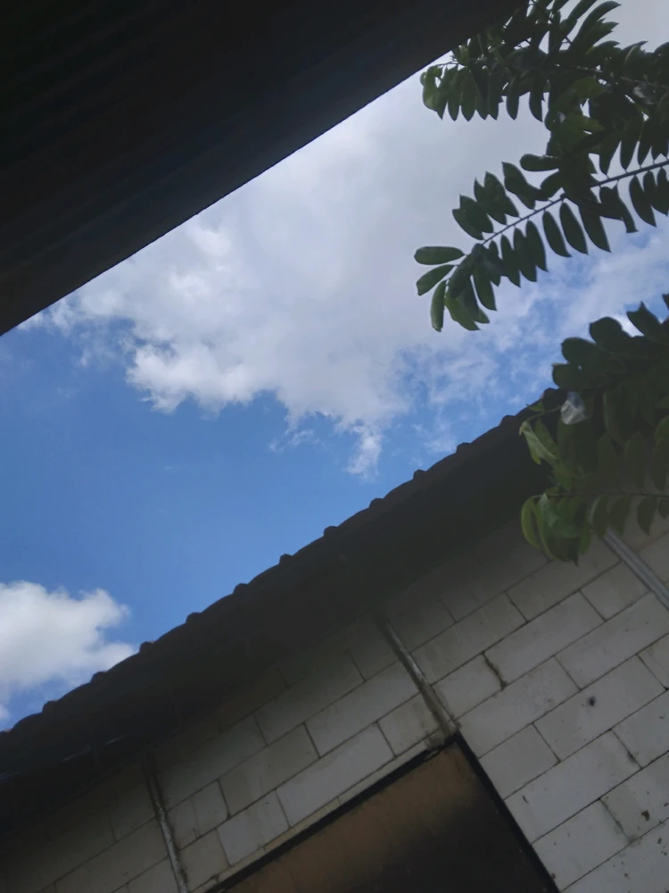 GIF diunggah oleh Yanti