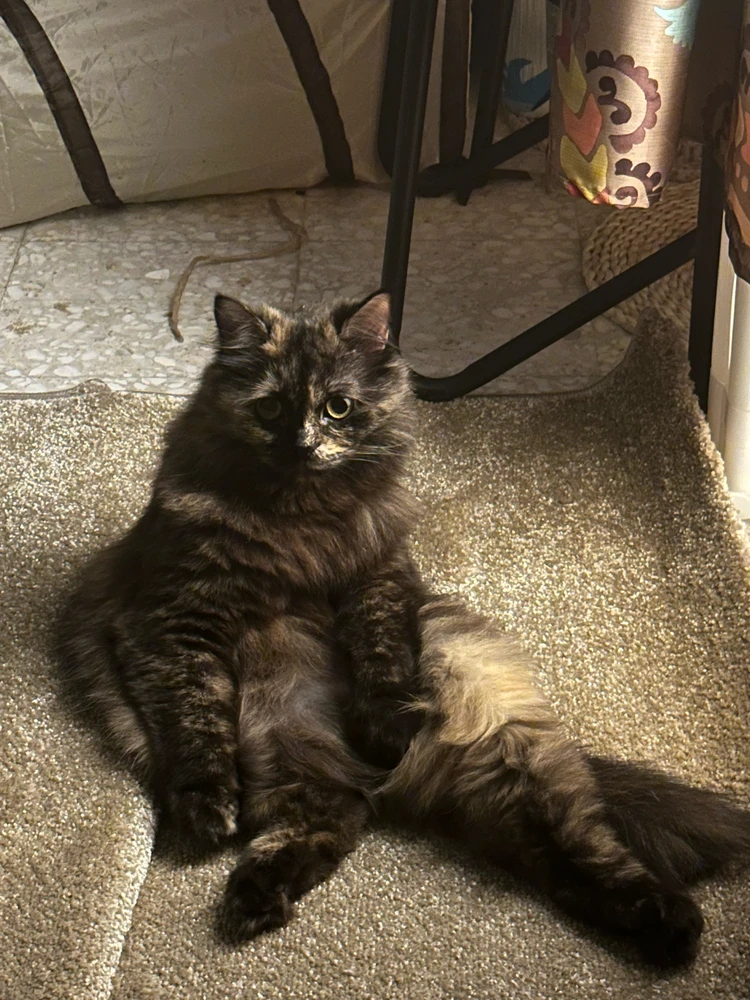 GIF uploaded by Heat