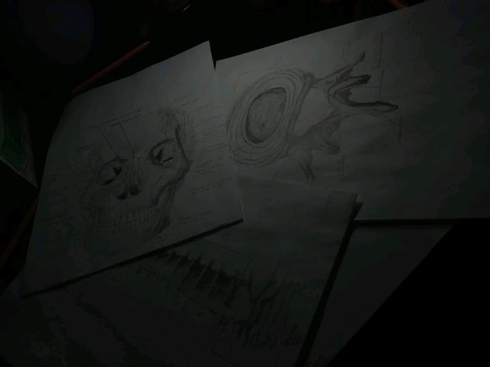 Imagen subida por Alejandro