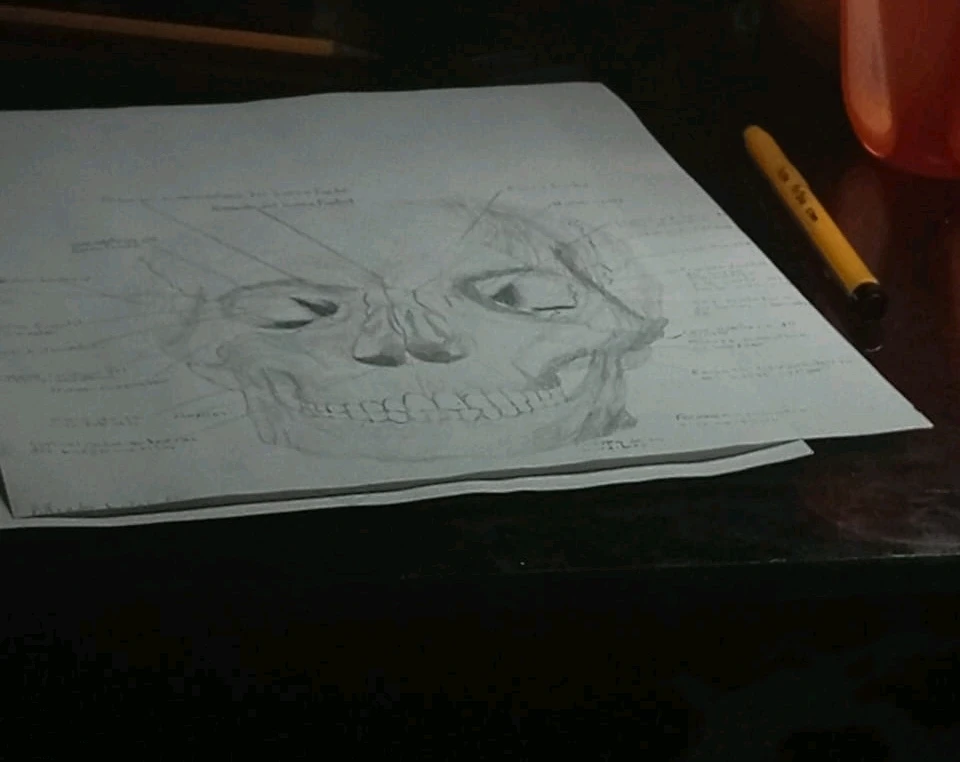 Imagen subida por Alejandro