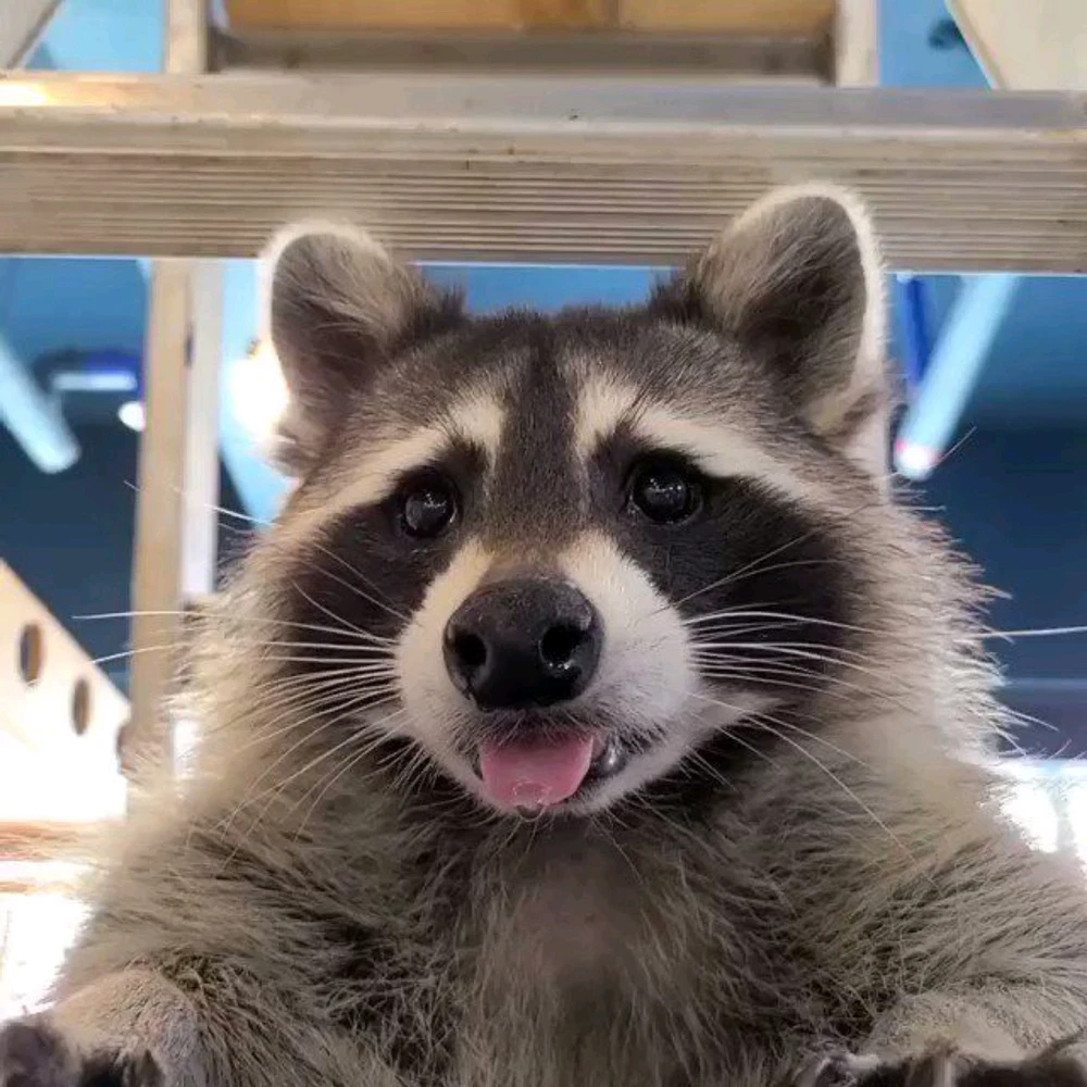 GIF uploaded by Tommy