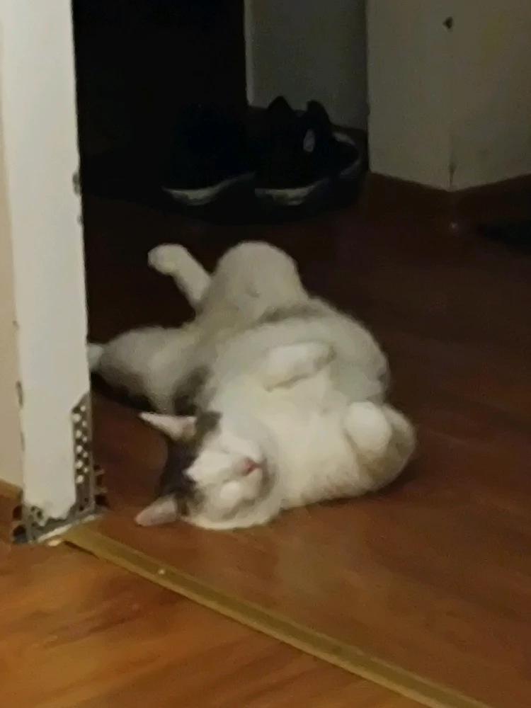 GIF dodany przez Łukasz