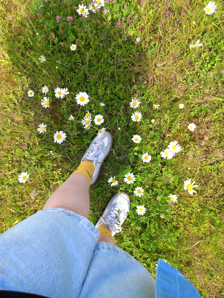 Bild hochgeladen von Arianna