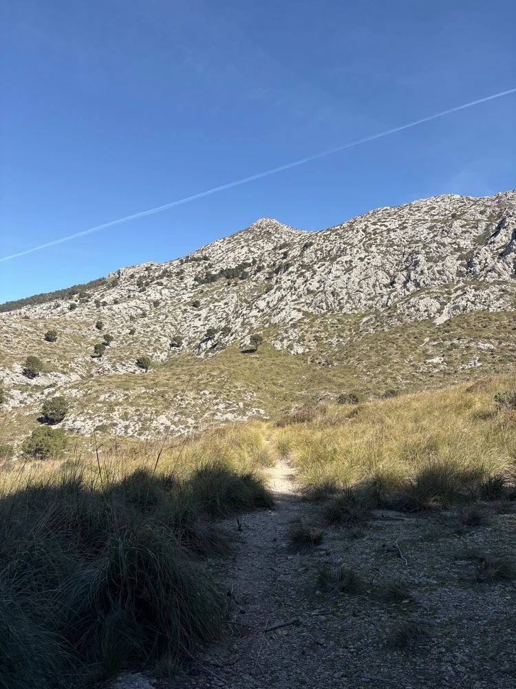 GIF hochgeladen von Felix