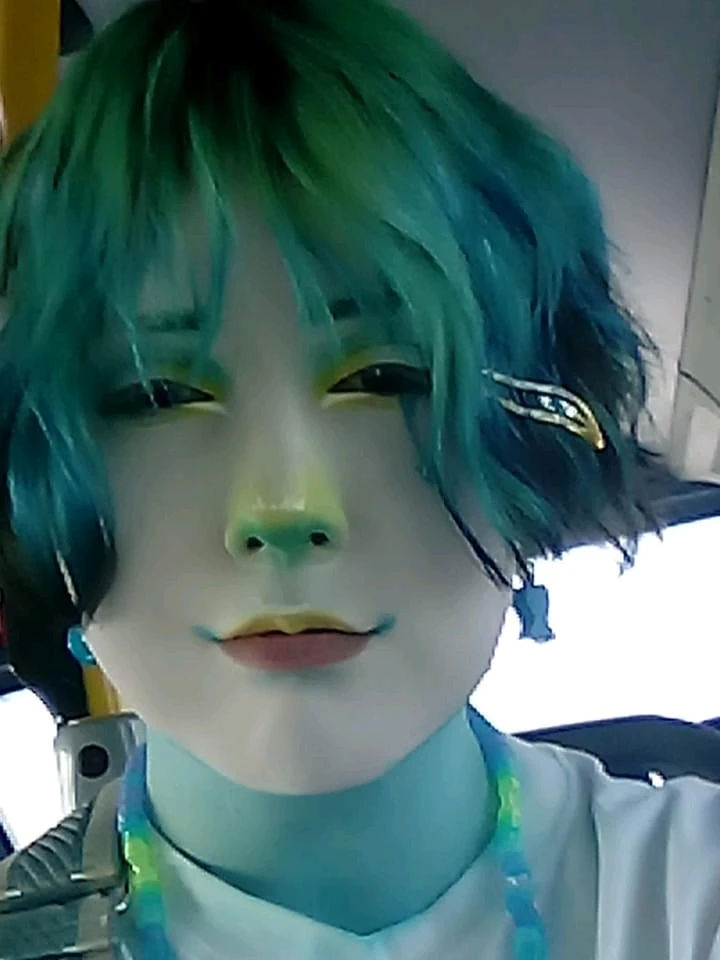 We went via Public transit- taking the bus in full clown fit was something /silly