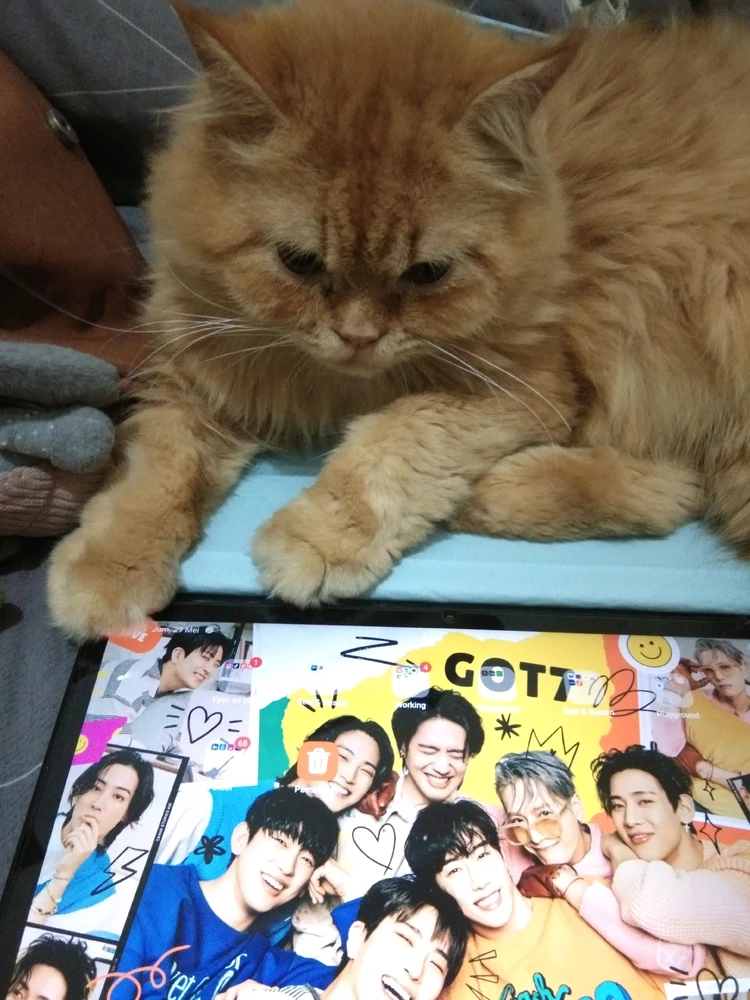 GIF uploaded by Ezhrys