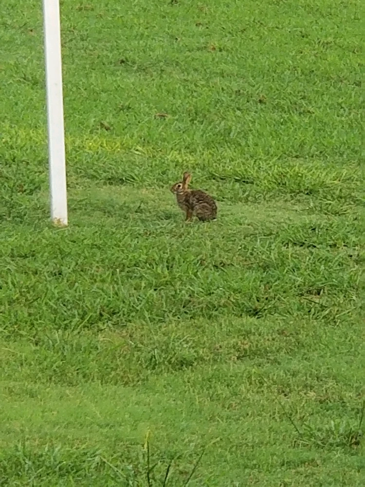 GIF uploaded by Pork