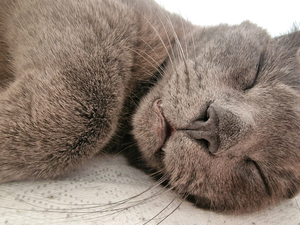 GIF uploaded by Shanice
