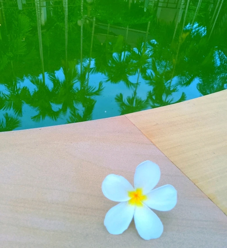 GIF uploaded by Love