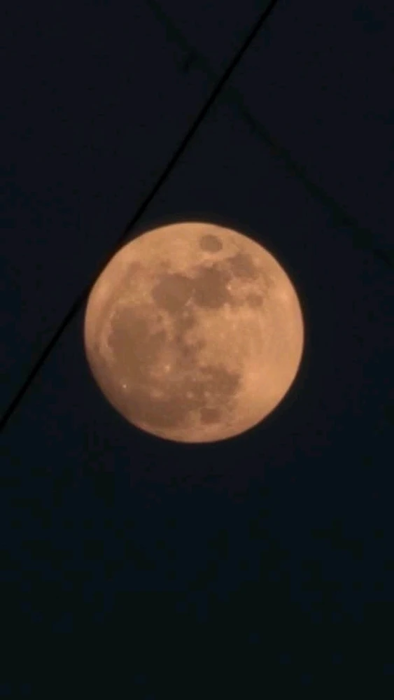 GIF uploaded by Vini