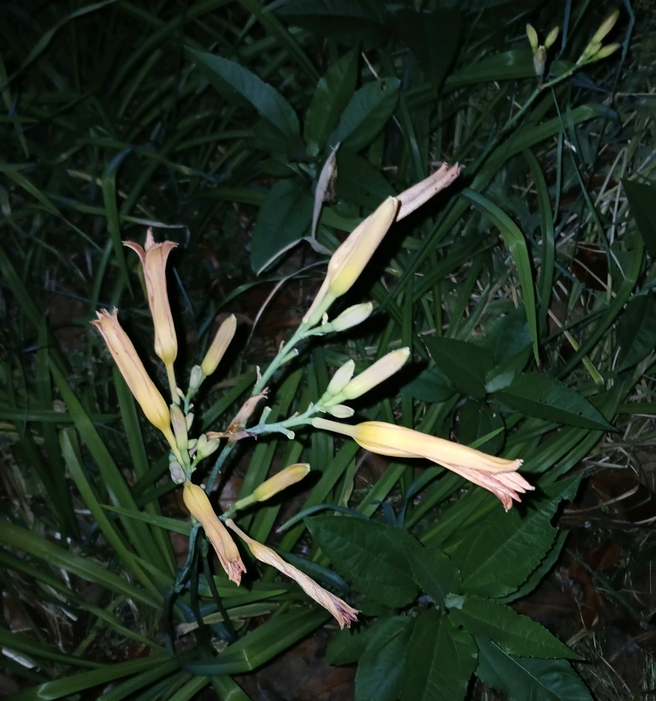 GIF uploaded by Marcos