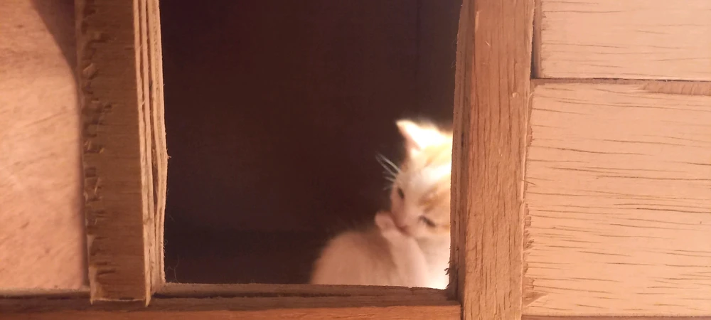 GIF uploaded by Vi